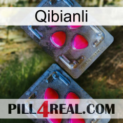 Qibianli 14